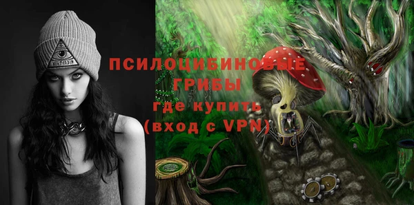 ГАЛЛЮЦИНОГЕННЫЕ ГРИБЫ Белокуриха