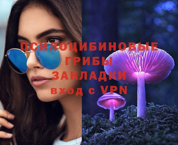 ГАЛЛЮЦИНОГЕННЫЕ ГРИБЫ Белокуриха