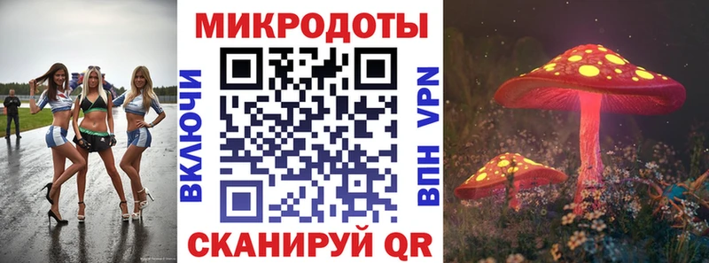 Псилоцибиновые грибы ЛСД  Купить где  Бакал 