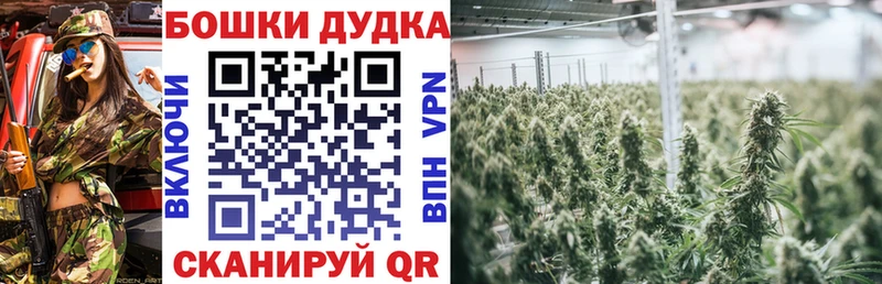 Купить закладки  Бакал  Каннабис планчик 
